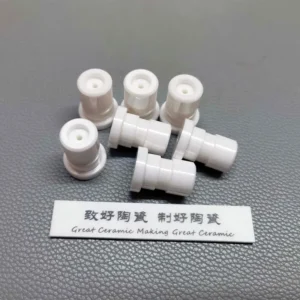 Zirconia Toughened Alumina Ceramic Plungers — reference component view 1
